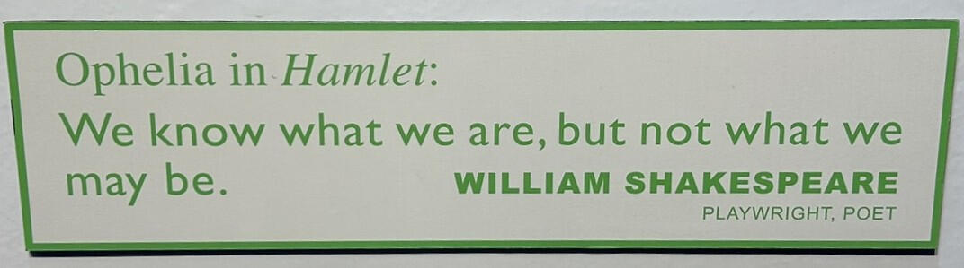 Inspiring quote by the Bard